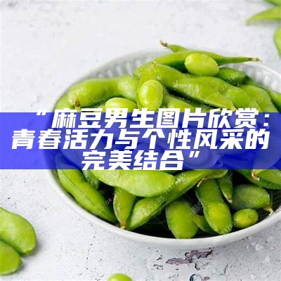 “麻豆男生图片欣赏：青春活力与个性风采的完美结合”